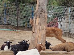 -武汉紫薇都市田园