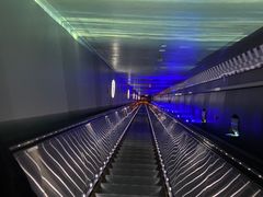 -白鹤梁水下博物馆