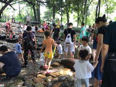 -成都市活水公园