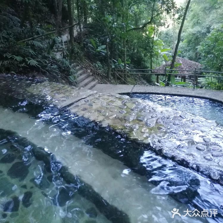 腾冲樱花谷森林温泉