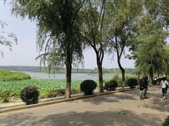 -丁香湖公园