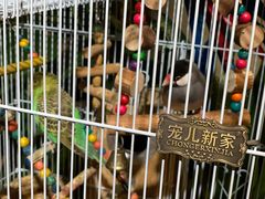 -舌尖上的食缘花园主题餐厅