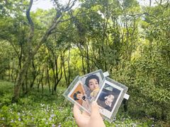 -上海佘山国家森林公园天马山园