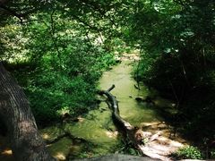 -大青沟风景区