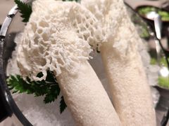 -罗勒家·养生火锅· Bistro(大望路店)