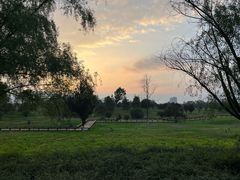 -汉长安城未央宫国家考古遗址公园