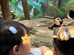 -中国大熊猫保护研究中心雅安碧峰峡基地