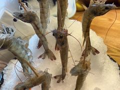 深水虾-尚海豆捞(乐虹坊店)