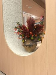 -柠润·Onda塑形·海菲秀·科技美肤中心