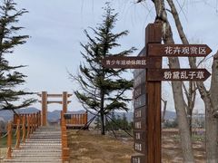 -羊亭河湿地公园