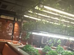 -猫爪爪原切自助烤肉(观音桥阳光世纪店)