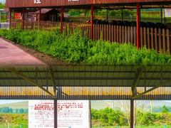 -坝上京北第一草原景区