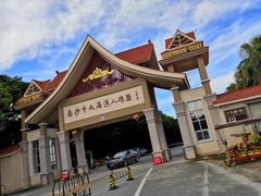 景点-大湾区中央湿地公园-十九涌