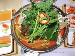 辣白菜脊骨火锅-韩香福脊骨汤锅(上杭路店)