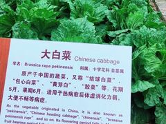-张闻天故居