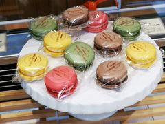 -多乐之日(田林东路店)