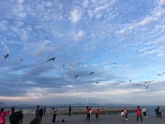 景点-东港音乐喷泉广场