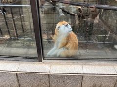 -昆明动物园