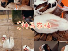 -天目湖御水温泉·度假酒店