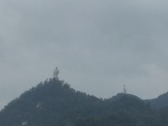 -南山植物园