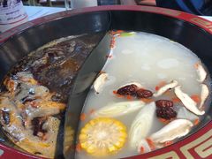 -京门活鱼馆·鱼火锅(百子湾（原红庙）店)