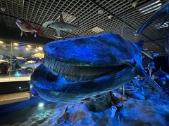 -国家自然博物馆