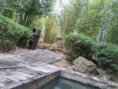 -崇阳三特浪口温泉