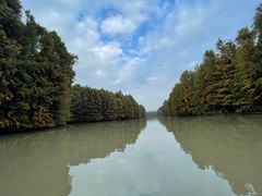 -上海海湾国家森林公园