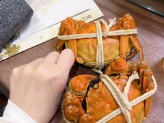 -蟹村草堂·苏式园林人文农家·大闸蟹