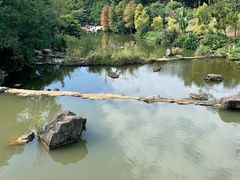 -云溪植物园