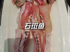 -张凯达·深海石斑鱼潮汕火锅(十五年品牌•虹桥天街店)
