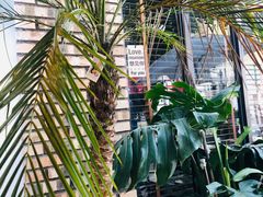 -春莱·老挝咖啡·泰式奶茶(钟楼店)