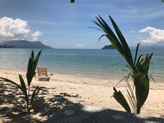 -Scarborough Fish & Chips- Tanjung Rhu