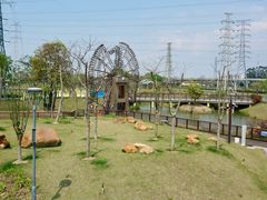 -王借岗森林公园