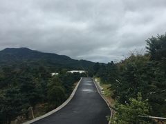 -溪口-滕头旅游景区