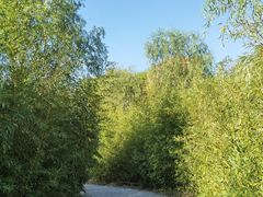 -北京园博大酒店