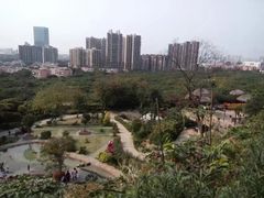 -青青世界