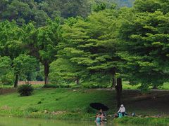 -滴水岩森林公园