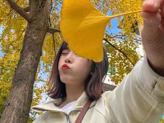 -四川大学(望江校区)