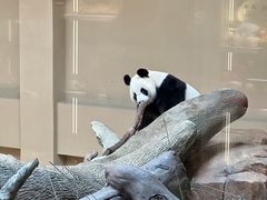-宁波野生动物园