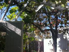 iphone_upload_pic-素心小筑(后沙裕镇店)