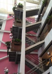 -知爱母婴专护全套房月子会所(新华路店)