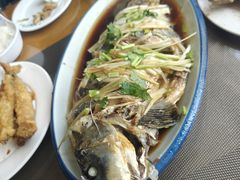 -微山岛春天里酒家