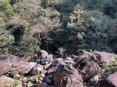 -黄山翡翠谷景区