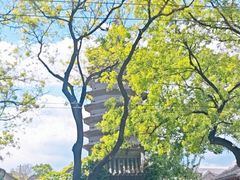 -正阳书局(西四南大街店)