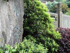 -十八棵（老龙井）御茶园(老龙井店)