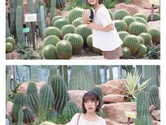 -华南国家植物园-售票处