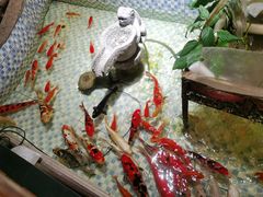 -向阳庄烧烤店(望京西园店)