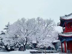 -北京市府学胡同小学