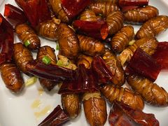 香辣蚕蛹-一轩饺子馆(丽都店)